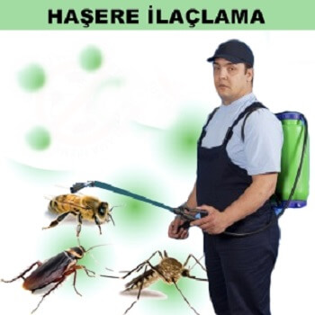 Evka 2 Böcek İlaçlama